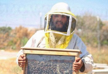 EXCLUSIVE: Hebron’s Holy Honeybees: The Story of David Daniel