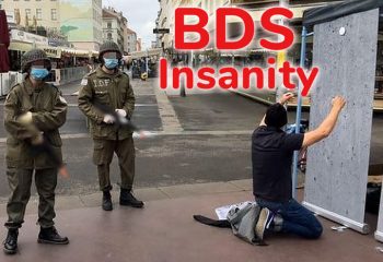 BDS street drama in Vienna: Harmless play or deadly reality?