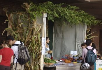 Sukkot: Celebrating under the Stars