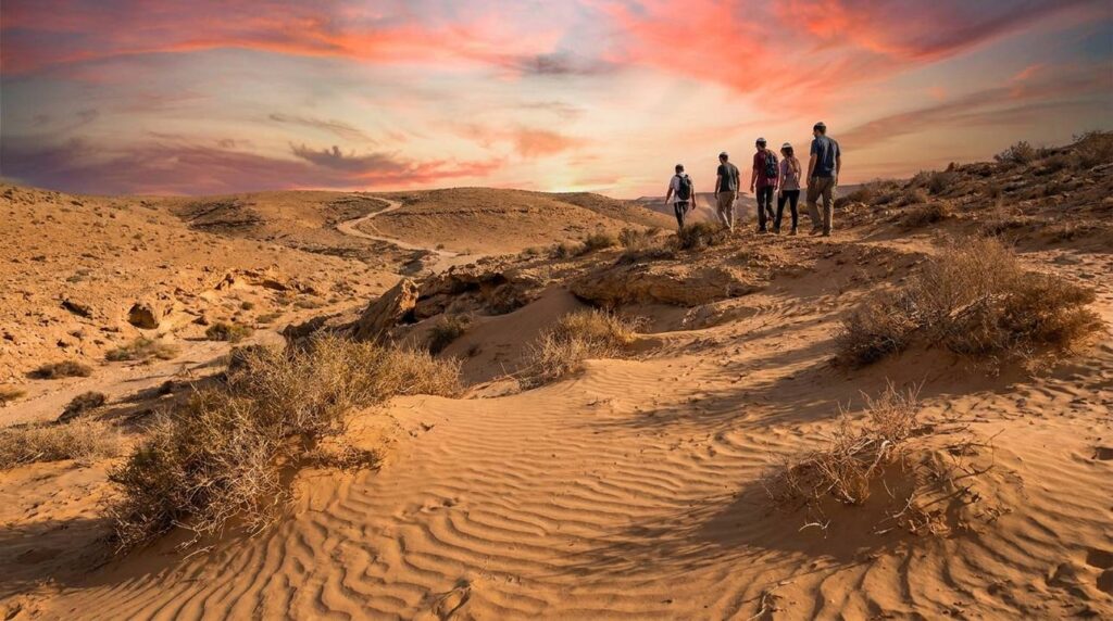 Negev Desert landscape at golden hour with small group exploring.