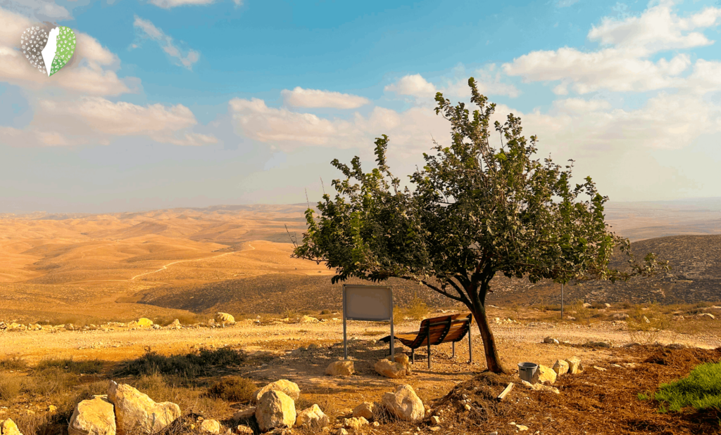 The heart of Israel's landscape and culture