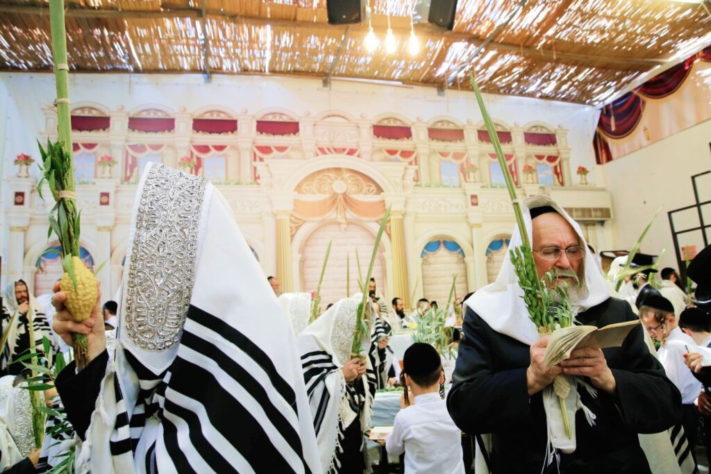 Sunlight filtering through the roof of a sukkah made of branches