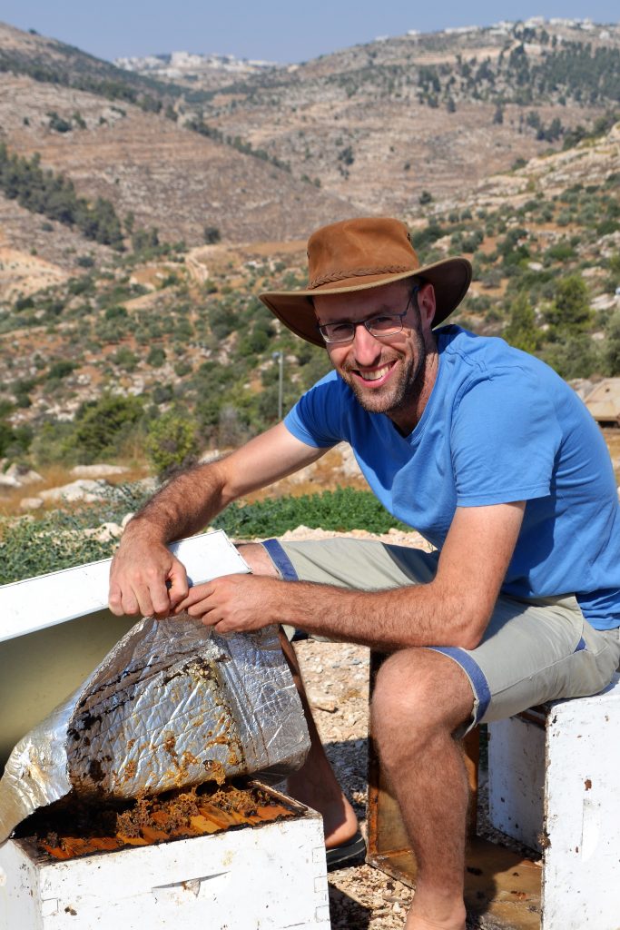 Beekeeper tending to hives on a sunny hillside in Judea