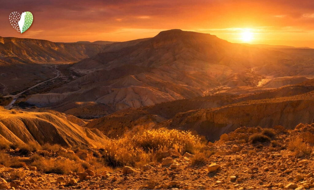 Resilient desert flora thriving in harsh climate