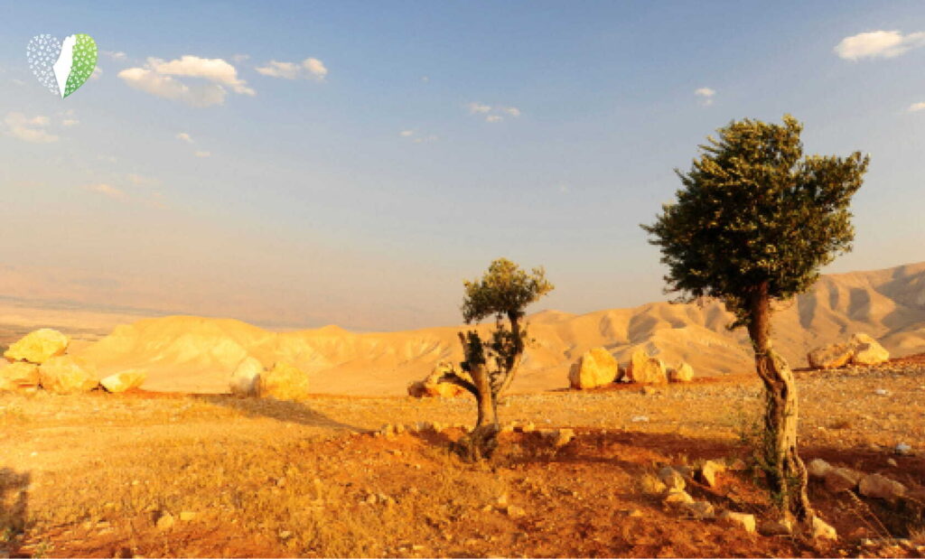A person reading a magazine with vibrant Israeli landscapes