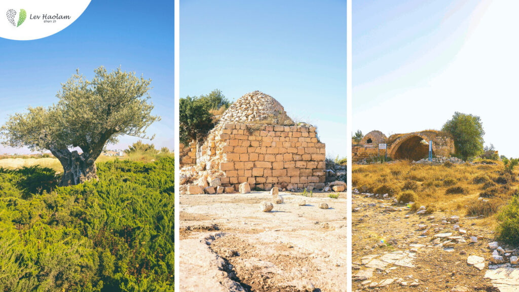 A scenic view of Beit El community in Samaria