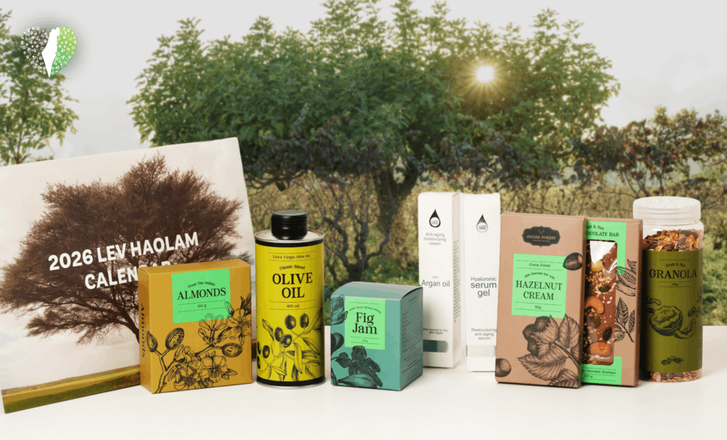 Olive trees thriving in the Israeli landscape