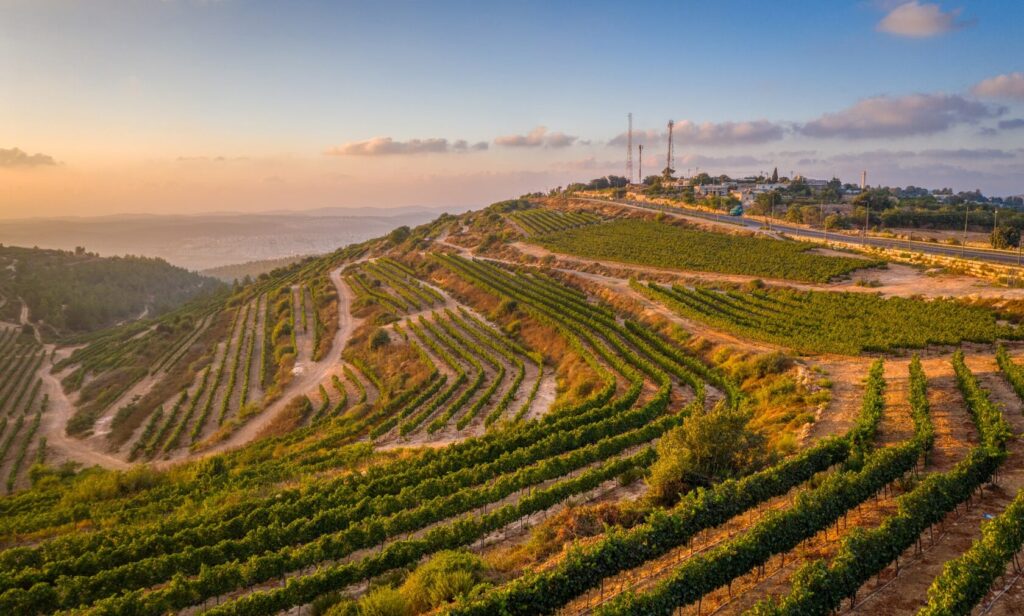 Ancient stone paths winding through lush greenery in Gush Etzion