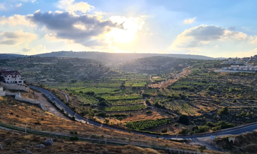 Entrepreneurs collaborating in a modern coworking space in Kfar Etzion