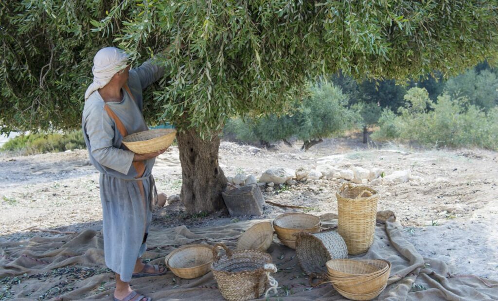 Artisan crafting traditional pottery in Beit El