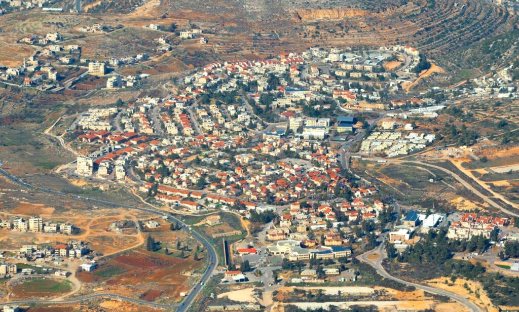 Lush vineyards thriving in Beit El's fertile soil