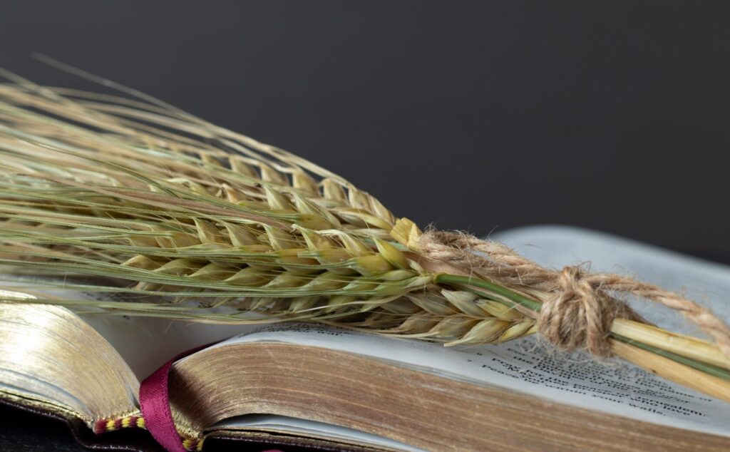 Mount Sinai illustration for Shavuot