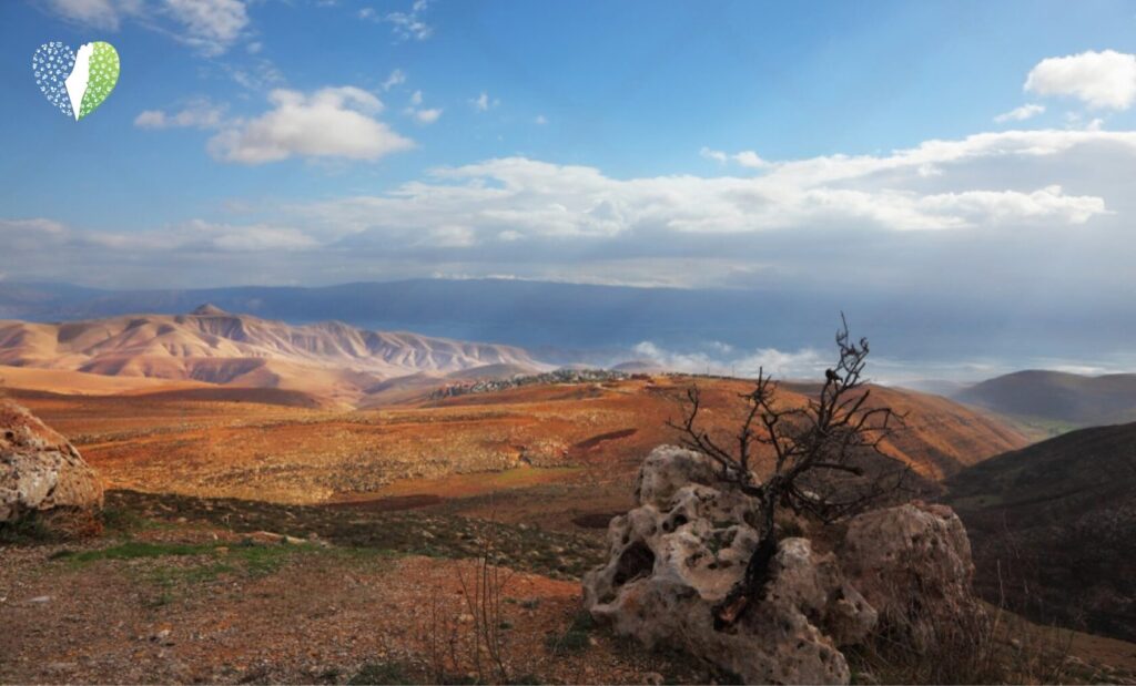 Ancient hills of Judea under a clear sky