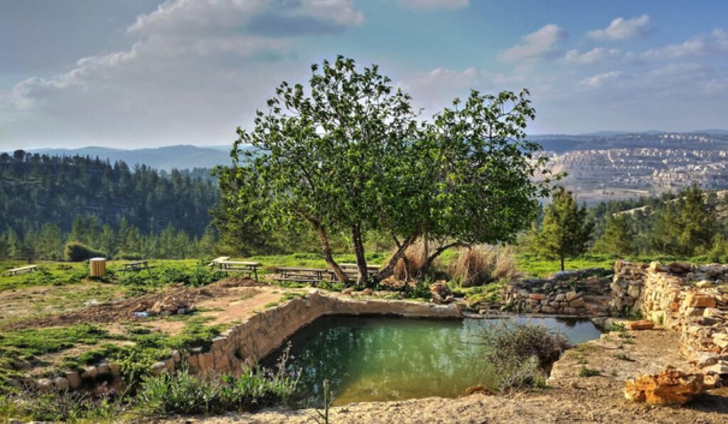 The ancient port city of Caesarea by the sea