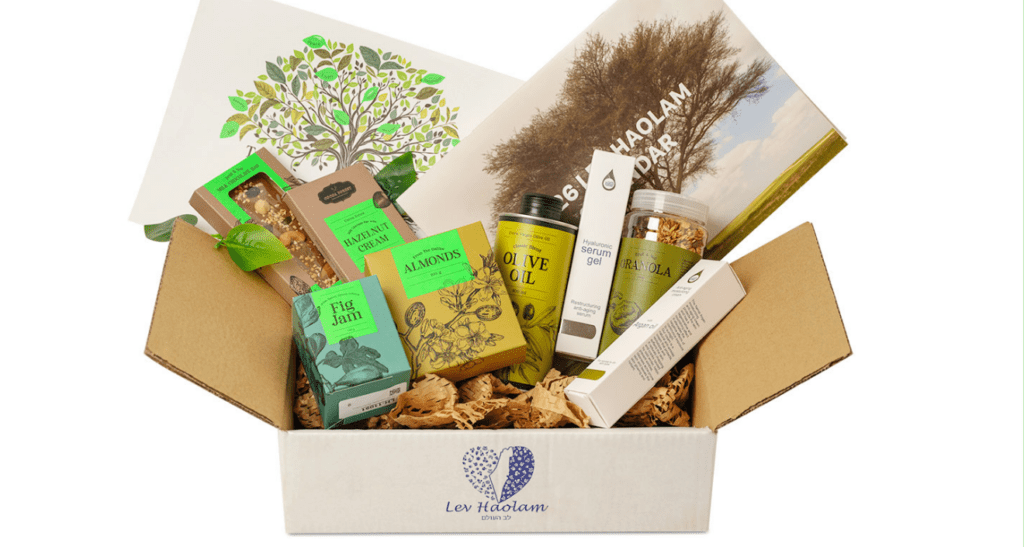 Lev Haolam olive