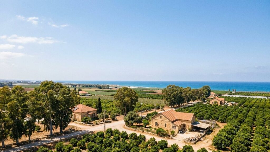 View of Ramat Yishai in Israel